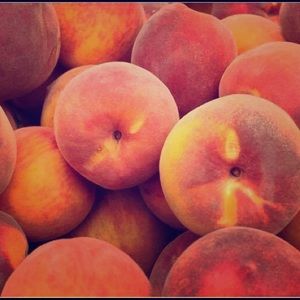 Meet your Posher, Pinky